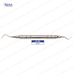 [PI-383] 페리오톰 구치부