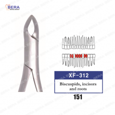 [XF-312] 하악중절치소구치(151)