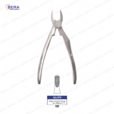 [XF-318] 상악유전치 1