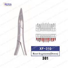 [XF-310] 하악루트(Down) 301