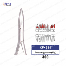 [XF-311] 상악루트(UP) 300