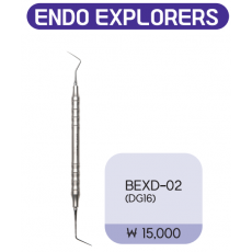 엔도익스플로러 (endo explorer)