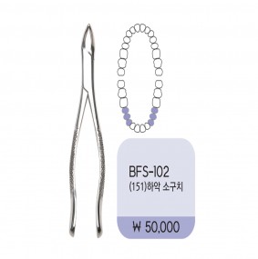 하악 중절치소구치(151) 좌우공용