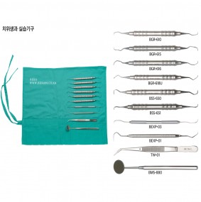 치위생사 실습기구